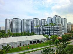 Blk 258B Punggol Topaz (Punggol), HDB 4 Rooms #563598521